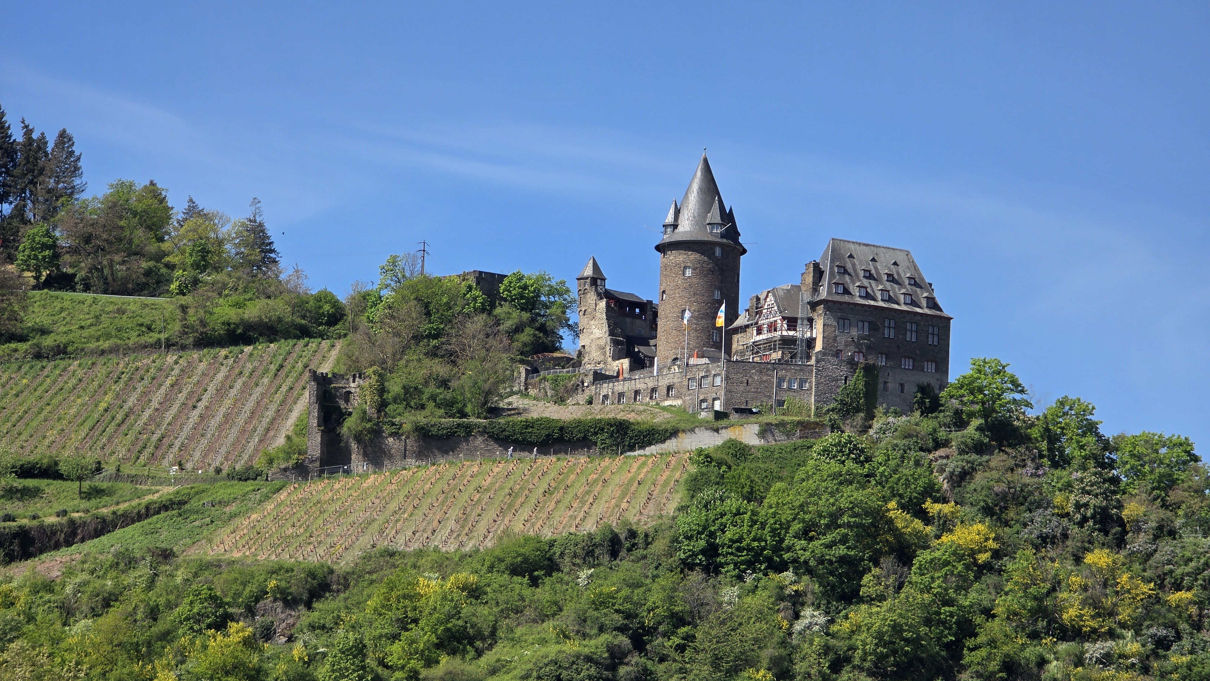 Rhine castle above vineyard-covered hills