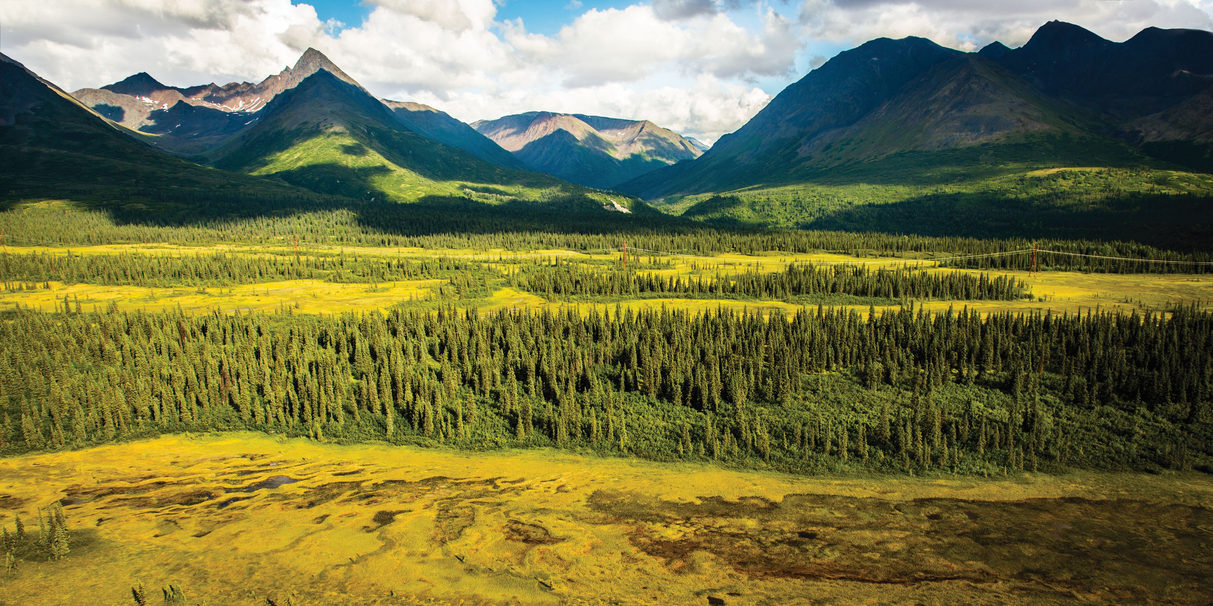 Denali National Park in interior Alaska