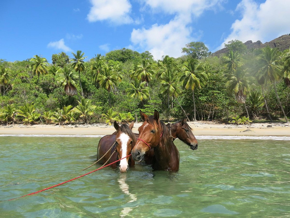 Nuku Hiva in the Marquesas Islands